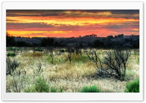 Sunset From Ontario, Oregon Ultra HD Wallpaper for 4K UHD Widescreen desktop, tablet & smartphone