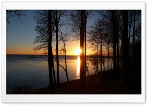 Sunset in Forest Ultra HD Wallpaper for 4K UHD Widescreen desktop, tablet & smartphone