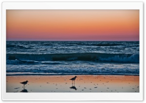 Sunset In Naples, Florida Ultra HD Wallpaper for 4K UHD Widescreen desktop, tablet & smartphone