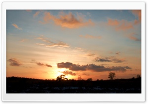 Sunset in Wolfheze, Netherlands Ultra HD Wallpaper for 4K UHD Widescreen desktop, tablet & smartphone