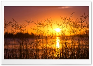 Sunset Light, Summer Ultra HD Wallpaper for 4K UHD Widescreen desktop, tablet & smartphone