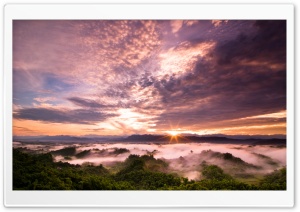Sunset Over Jungle Ultra HD Wallpaper for 4K UHD Widescreen desktop, tablet & smartphone