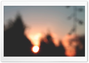 Sunset over Trees Ultra HD Wallpaper for 4K UHD Widescreen desktop, tablet & smartphone