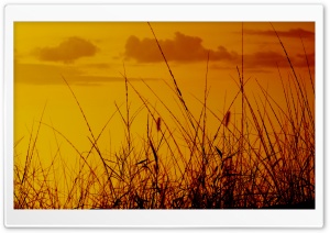 Sunset Sky, Summer Ultra HD Wallpaper for 4K UHD Widescreen desktop, tablet & smartphone