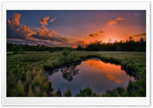 Sunset Summer Ultra HD Wallpaper for 4K UHD Widescreen desktop, tablet & smartphone