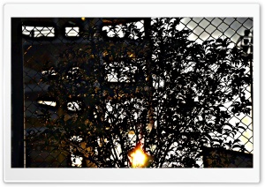 Sunset Time Erbil City Ultra HD Wallpaper for 4K UHD Widescreen desktop, tablet & smartphone