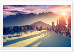 Sunset Winter Shadows Ultra HD Wallpaper for 4K UHD Widescreen desktop, tablet & smartphone