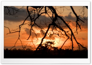 Sunset Wolfheze Ultra HD Wallpaper for 4K UHD Widescreen desktop, tablet & smartphone