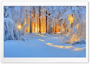 Sunshine Winter Ultra HD Wallpaper for 4K UHD Widescreen desktop, tablet & smartphone
