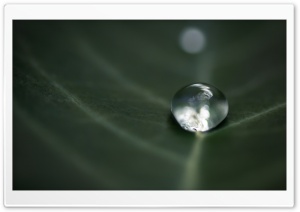 Surface Tension of Water Ultra HD Wallpaper for 4K UHD Widescreen desktop, tablet & smartphone