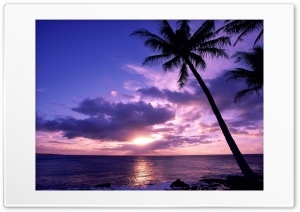 Tahitian Paradise Ultra HD Wallpaper for 4K UHD Widescreen desktop, tablet & smartphone
