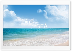The Bird and The Sea Ultra HD Wallpaper for 4K UHD Widescreen desktop, tablet & smartphone