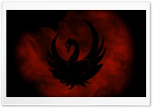 The Black Swan Ultra HD Wallpaper for 4K UHD Widescreen desktop, tablet & smartphone