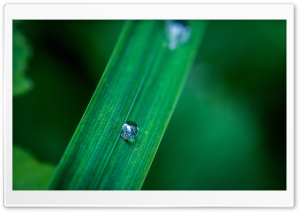 The Drop Ultra HD Wallpaper for 4K UHD Widescreen desktop, tablet & smartphone