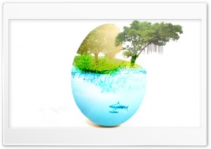 The Egg - Thaseem Ameerali Ultra HD Wallpaper for 4K UHD Widescreen desktop, tablet & smartphone