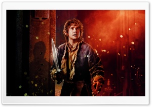THE HOBBIT THE DESOLATION OF SMAUG Bilbo Baggins Ultra HD Wallpaper for 4K UHD Widescreen desktop, tablet & smartphone