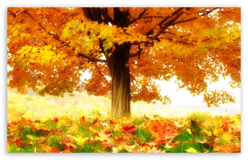      the_joy_of_autumn-t2