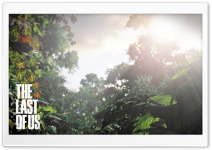 The Last of Us Background Ultra HD Wallpaper for 4K UHD Widescreen desktop, tablet & smartphone