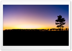 The Last Ray Of Light Sundown Ultra HD Wallpaper for 4K UHD Widescreen desktop, tablet & smartphone