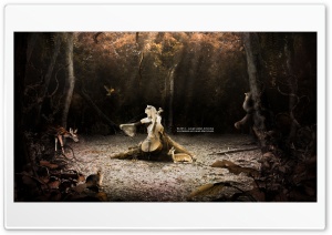 The Light melody I Ultra HD Wallpaper for 4K UHD Widescreen desktop, tablet & smartphone