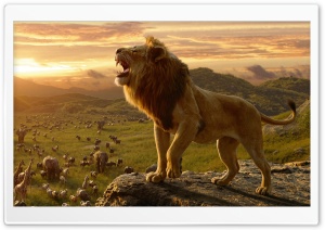 The Lion King 2019 Ultra HD Wallpaper for 4K UHD Widescreen desktop, tablet & smartphone