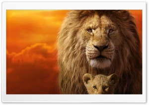 The Lion King Mufasa, Simba Ultra HD Wallpaper for 4K UHD Widescreen desktop, tablet & smartphone