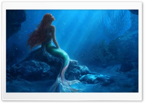 The Little Mermaid Movie 2023 Ultra HD Wallpaper for 4K UHD Widescreen desktop, tablet & smartphone