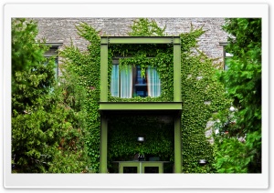 The Pearl Districts Secret Garden Ultra HD Wallpaper for 4K UHD Widescreen desktop, tablet & smartphone