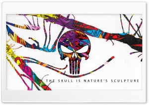 The Skull is Natures Sculpture Ultra HD Wallpaper for 4K UHD Widescreen desktop, tablet & smartphone