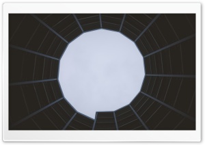 The Spider Web Ultra HD Wallpaper for 4K UHD Widescreen desktop, tablet & smartphone
