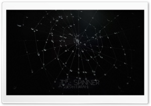 The Spinner Ultra HD Wallpaper for 4K UHD Widescreen desktop, tablet & smartphone