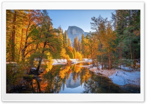 The Transition Between Autumn to Winter Ultra HD Wallpaper for 4K UHD Widescreen desktop, tablet & smartphone