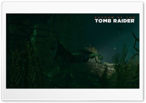Tomb raider Ultra HD Wallpaper for 4K UHD Widescreen desktop, tablet & smartphone