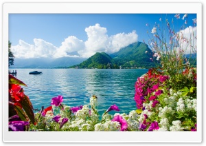 Topical Island Ultra HD Wallpaper for 4K UHD Widescreen desktop, tablet & smartphone