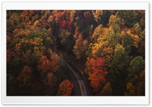 Travel, Road, Forest, Autumn Ultra HD Wallpaper for 4K UHD Widescreen desktop, tablet & smartphone