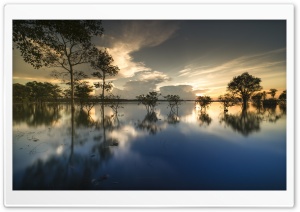 Trees in Water Reflection Ultra HD Wallpaper for 4K UHD Widescreen desktop, tablet & smartphone