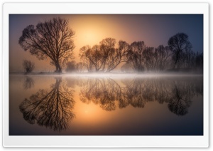 Trees, Lake, Mist Ultra HD Wallpaper for 4K UHD Widescreen desktop, tablet & smartphone
