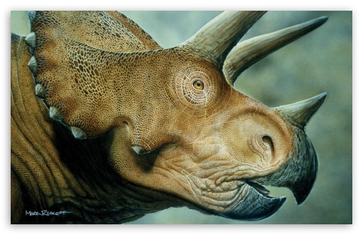 triceratops-t2.jpg