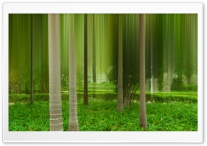 Trippy Palm Trees Ultra HD Wallpaper for 4K UHD Widescreen desktop, tablet & smartphone