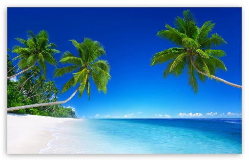 Tropical Beach Paradise 5k Ultra Hd Desktop Background Wallpaper For 4k Uhd Tv Tablet Smartphone