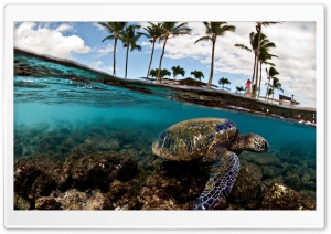 Tropical Island Ultra HD Wallpaper for 4K UHD Widescreen desktop, tablet & smartphone