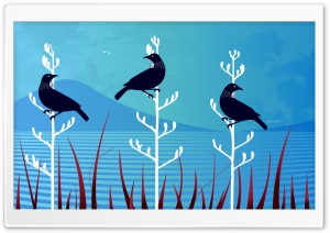 Tui Birds Ultra HD Wallpaper for 4K UHD Widescreen desktop, tablet & smartphone