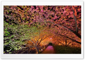 Tunnel of Love Ultra HD Wallpaper for 4K UHD Widescreen desktop, tablet & smartphone