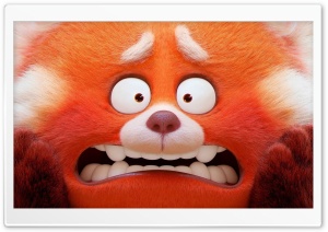 Turning Red Panda Ultra HD Wallpaper for 4K UHD Widescreen desktop, tablet & smartphone