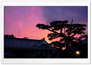 Twilight Over The Museum Ultra HD Wallpaper for 4K UHD Widescreen desktop, tablet & smartphone