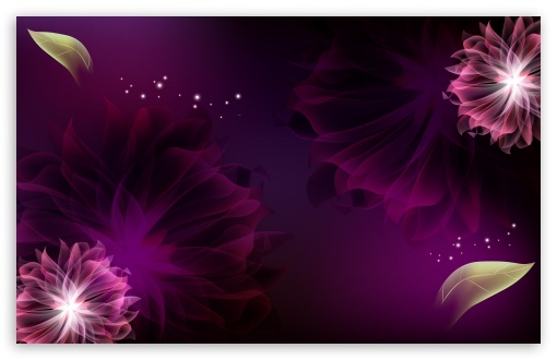 Two Purple Flowers UltraHD Wallpaper for Wide 16:10 5:3 Widescreen WHXGA WQXGA WUXGA WXGA WGA ; 8K UHD TV 16:9 Ultra High Definition 2160p 1440p 1080p 900p 720p ; Standard 4:3 3:2 Fullscreen UXGA XGA SVGA DVGA HVGA HQVGA ( Apple PowerBook G4 iPhone 4 3G 3GS iPod Touch ) ; iPad 1/2/Mini ; Mobile 4:3 5:3 3:2 16:9 - UXGA XGA SVGA WGA DVGA HVGA HQVGA ( Apple PowerBook G4 iPhone 4 3G 3GS iPod Touch ) 2160p 1440p 1080p 900p 720p ;