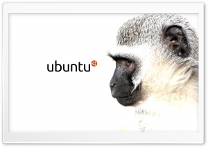 Ubuntu vervet mokey Ultra HD Wallpaper for 4K UHD Widescreen desktop, tablet & smartphone