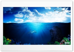 Underwater World Pacolix Ultra HD Wallpaper for 4K UHD Widescreen desktop, tablet & smartphone