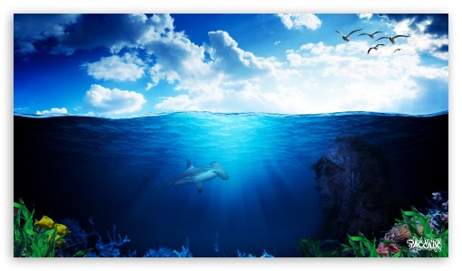 Underwater World Pacolix Ultra HD Desktop Background Wallpaper for :  Widescreen & UltraWide Desktop & Laptop : Multi Display, Dual Monitor :  Tablet : Smartphone