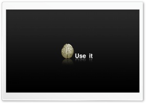Use It Or Lose It Ultra HD Wallpaper for 4K UHD Widescreen desktop, tablet & smartphone